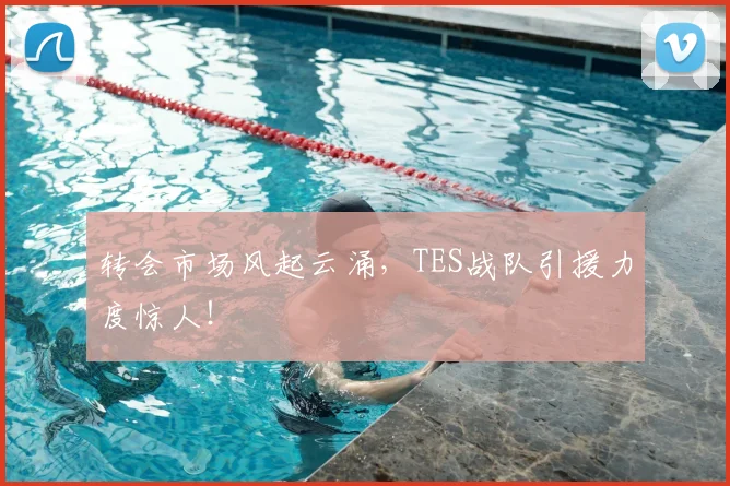 转会市场风起云涌，TES战队引援力度惊人！