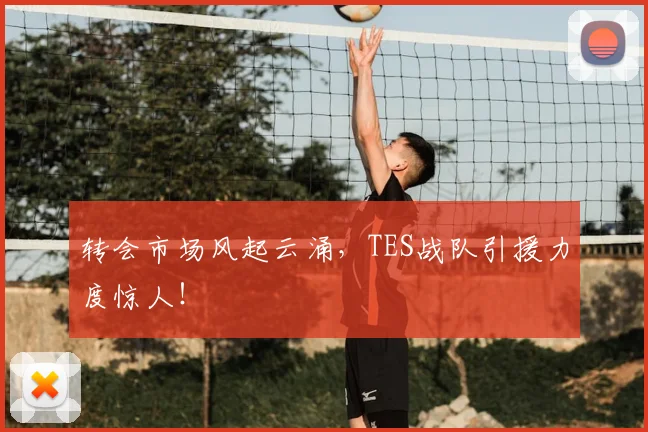 转会市场风起云涌，TES战队引援力度惊人！